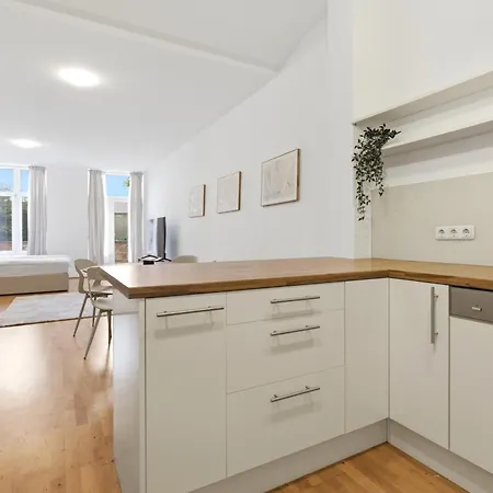 Apartment Alpena Homes, Zentrum, Sehr Geraeumig, Kueche Linz